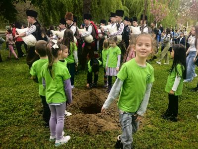 Засаждане на японски вишни от децата на група "Пчеличка" към ДГ "Детелина" 11