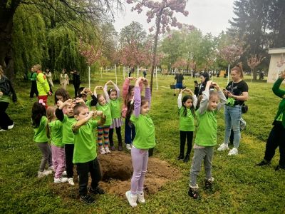 Засаждане на японски вишни от децата на група "Пчеличка" към ДГ "Детелина" 8